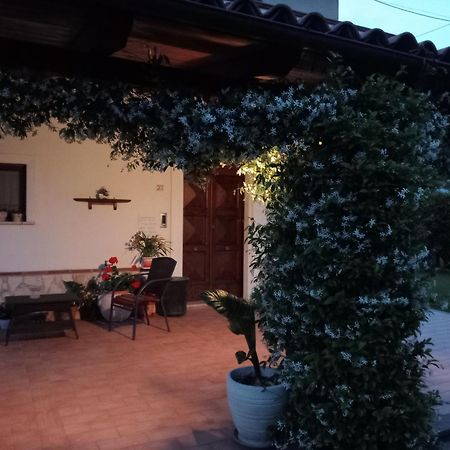 B&B Il Tiglio Padula Ngoại thất bức ảnh
