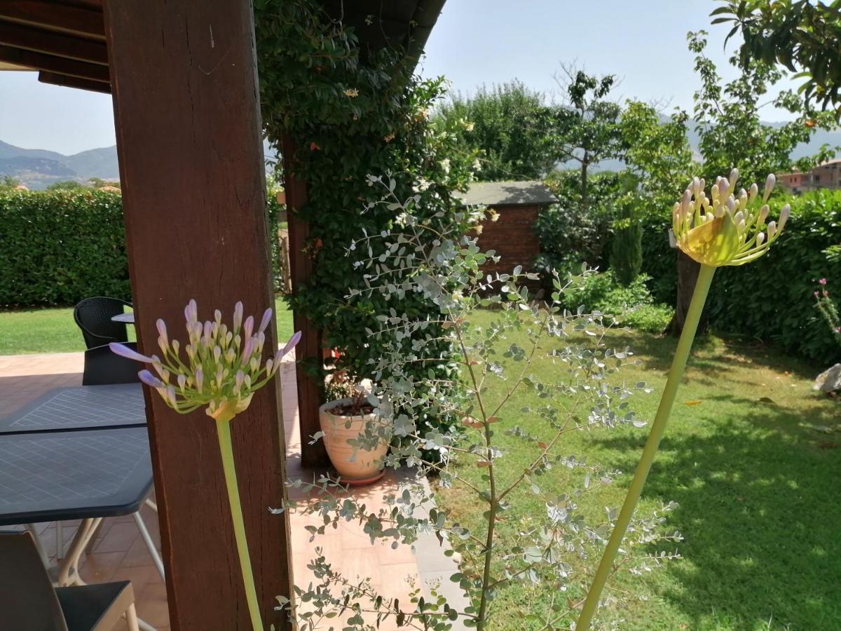 B&B Il Tiglio Padula Ngoại thất bức ảnh