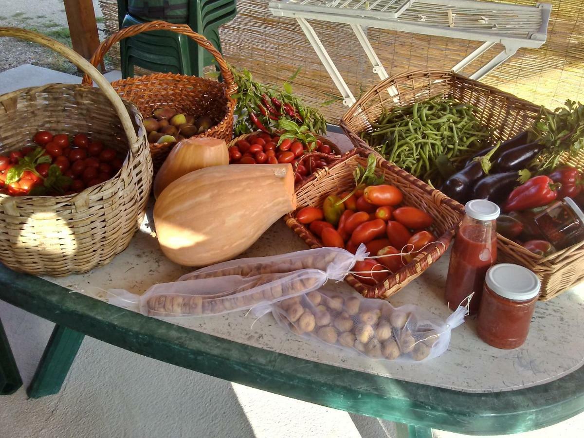 B&B Il Tiglio Padula Ngoại thất bức ảnh